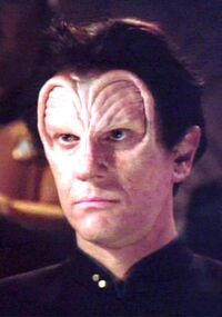 Garywerntz