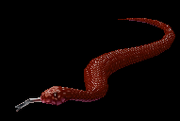 CrimsonSnake