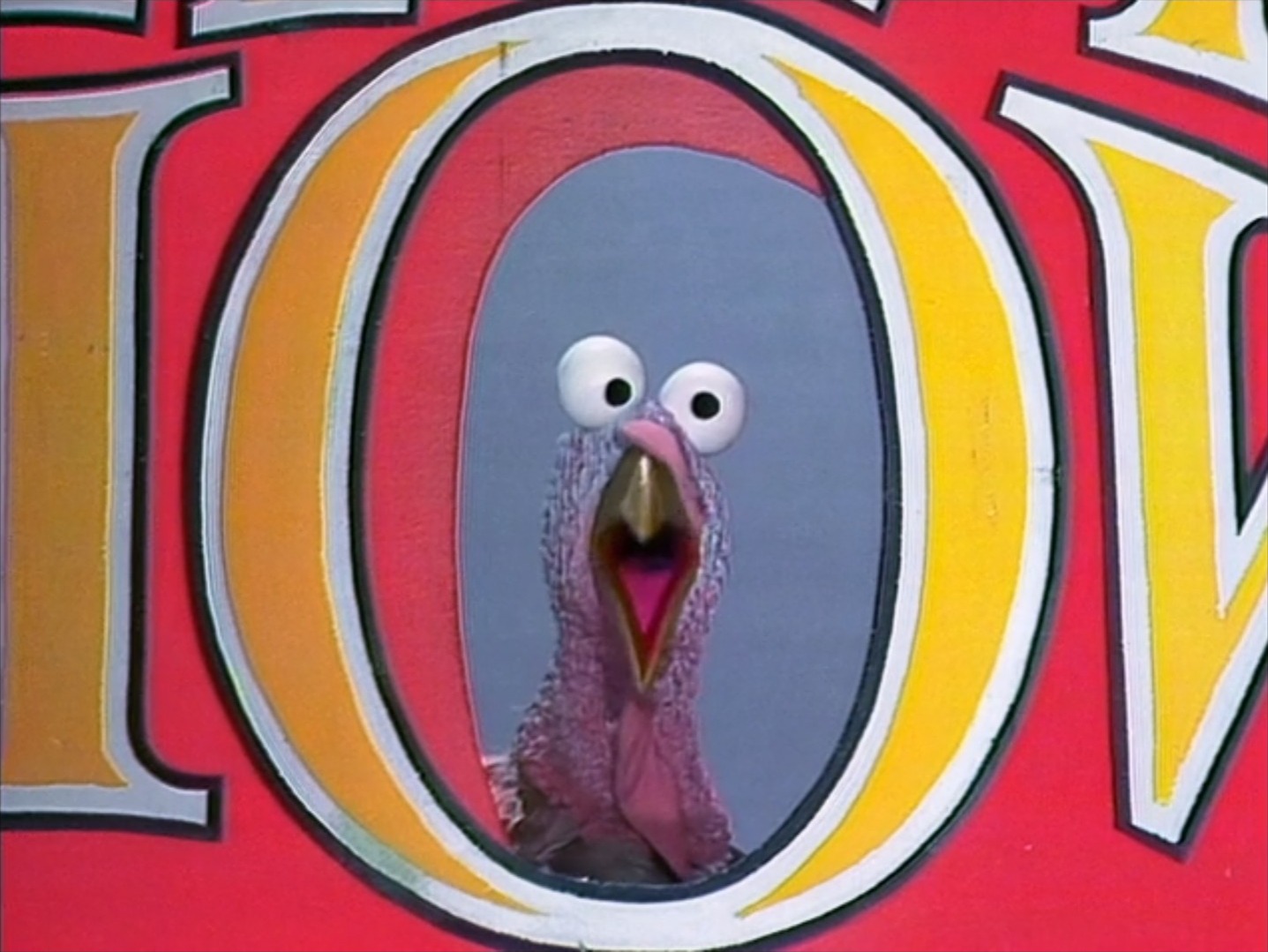 Turkeyshow