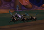 Vekniss Wasp Packs