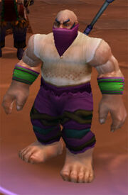 ShadowweavePants