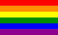 Gay flag