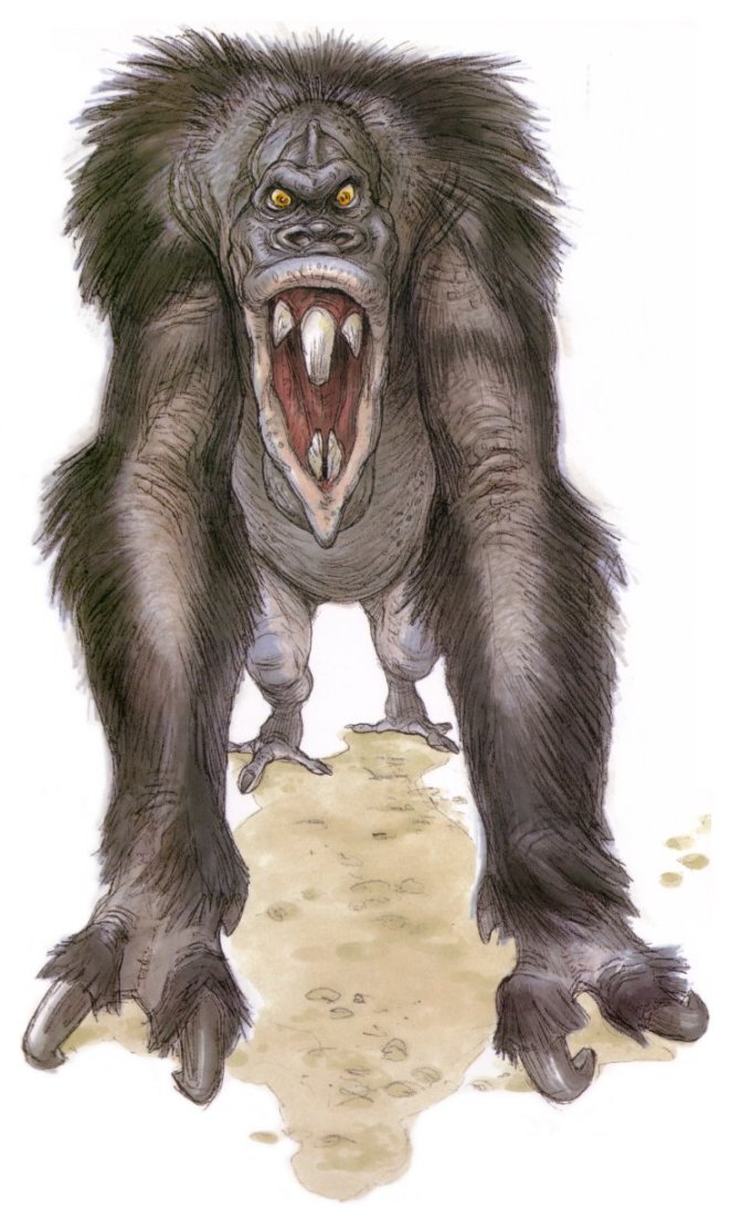 Veermok - Wookieepedia, the Star Wars Wiki