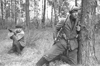 Militia