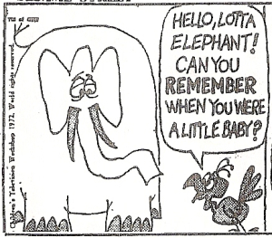 Lottaelephant