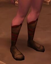 Linen boots