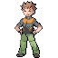 Brock RFVH