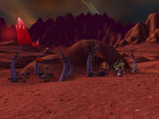 Cenarion Post