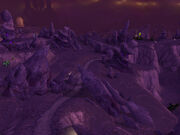 The Vortex Fields
