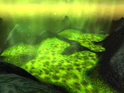 The Scalding Pools