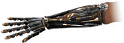 Anakins arm