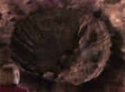 Crater, Warhead