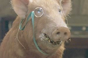 Squealer2