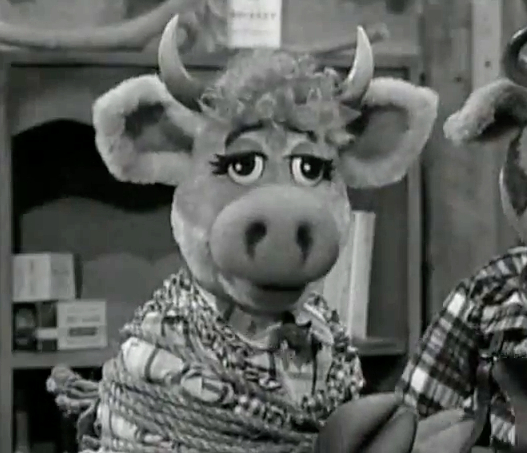 Dorothy bovine