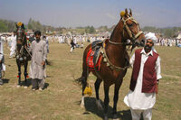 PakistanLahoreHorse&CattleShow