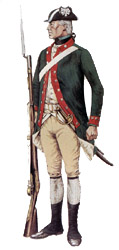 Continental marine