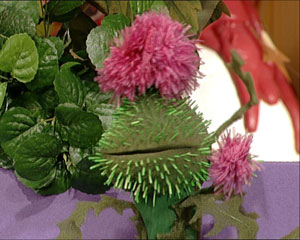 Thistle