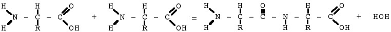 Amino-veresterung