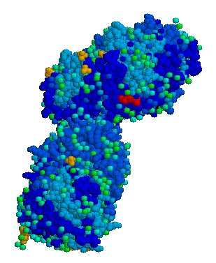 Acid beta glucosidase