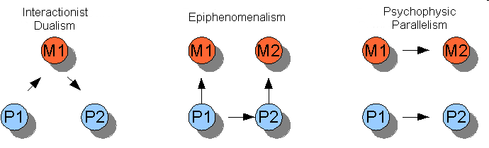 causality psychology