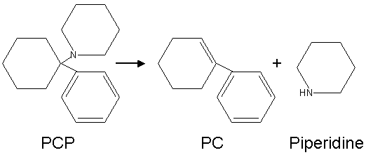 PCP2PCandPOPERIDINE