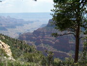 Grand Canyon, Bryce, Capitol Reef Trip 281