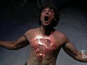 Phoenix kryptonian s