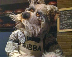 Bubba-dogcity