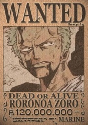 Steckbrief Zorro 120