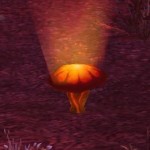 Blood Mushroom