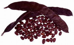Carob