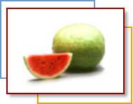 Watermelon yellow