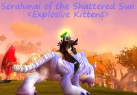 Shatteredsunrep