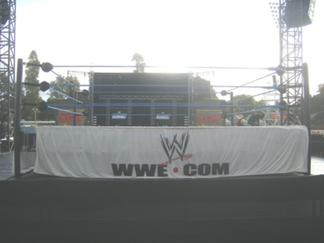 wwe wrestling ring big w