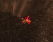 Dragonspine