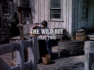 Title.thewildboy2