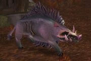 Plagued Swine
