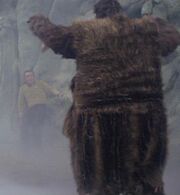 Taurus II anthropoid attacks