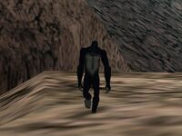 Big Foot