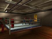 Boxeo