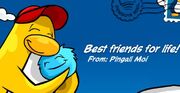 Awardfriend