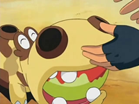 EP513 Alimentando a Hippopotas (3)