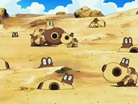 EP513 Manada de Hippopotas