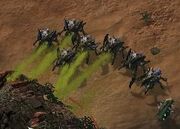 Roach SC2 DevGame2
