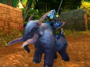 Gray Elekk