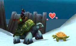 Sea turtle