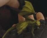 Dragon model welsh green 1