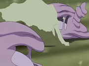 EP556 Muk jugando