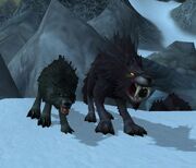 Worg Disguise