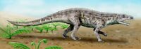 Venaticosuchus BW